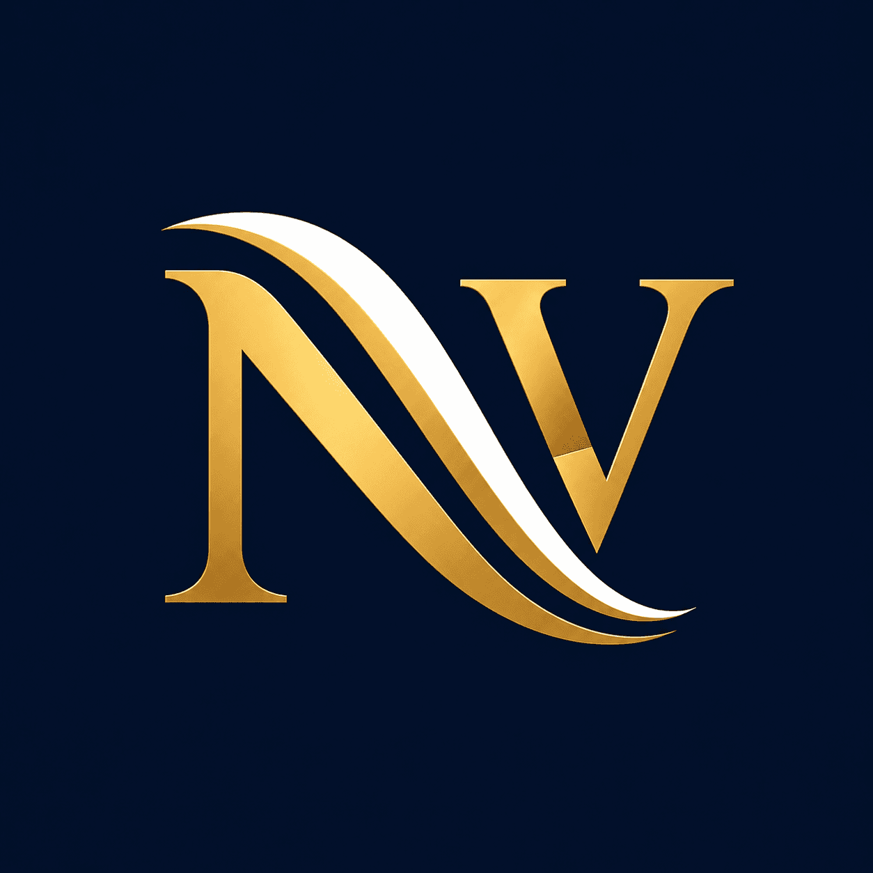 Nisva Ventures
